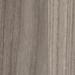 Finitura Porta laminata Plantext Ambra l0
