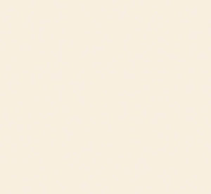 Finitura Porta legno Bianco Crema RAL 9001 8J